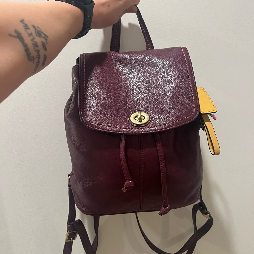 Coach Park Leather Backpack 24385
